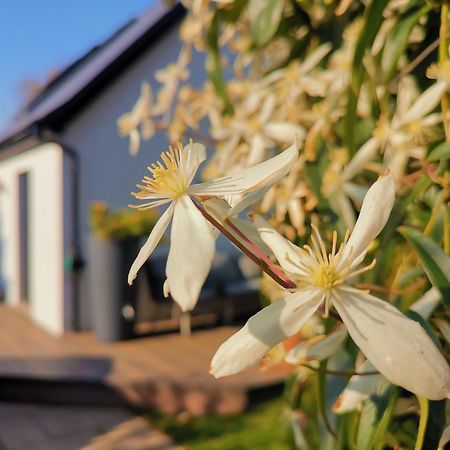 Hastings Casita, 'Little House' Self Contained Garden Lodge, Close To Town And Seafront Extérieur photo