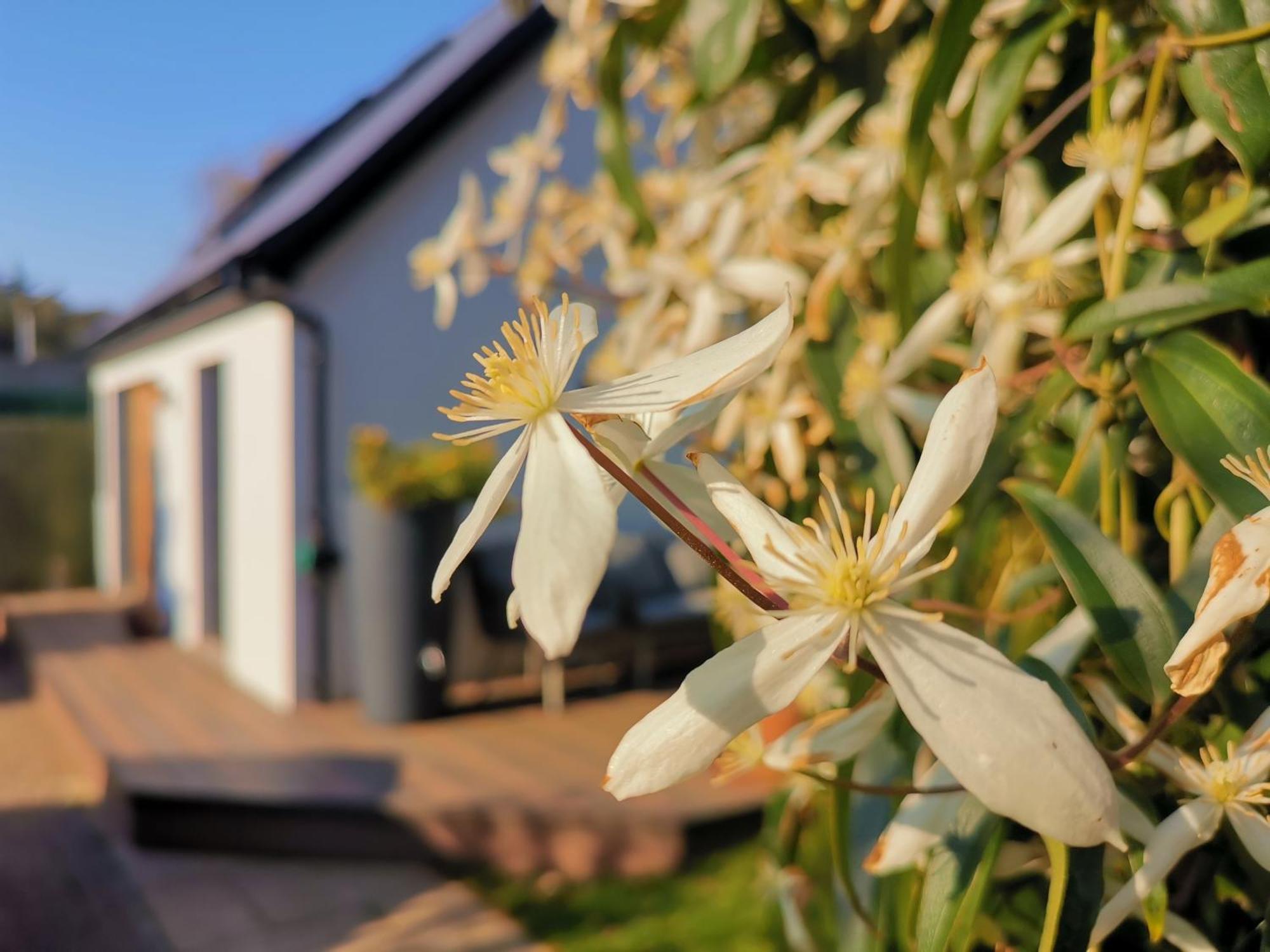 Hastings Casita, 'Little House' Self Contained Garden Lodge, Close To Town And Seafront Extérieur photo