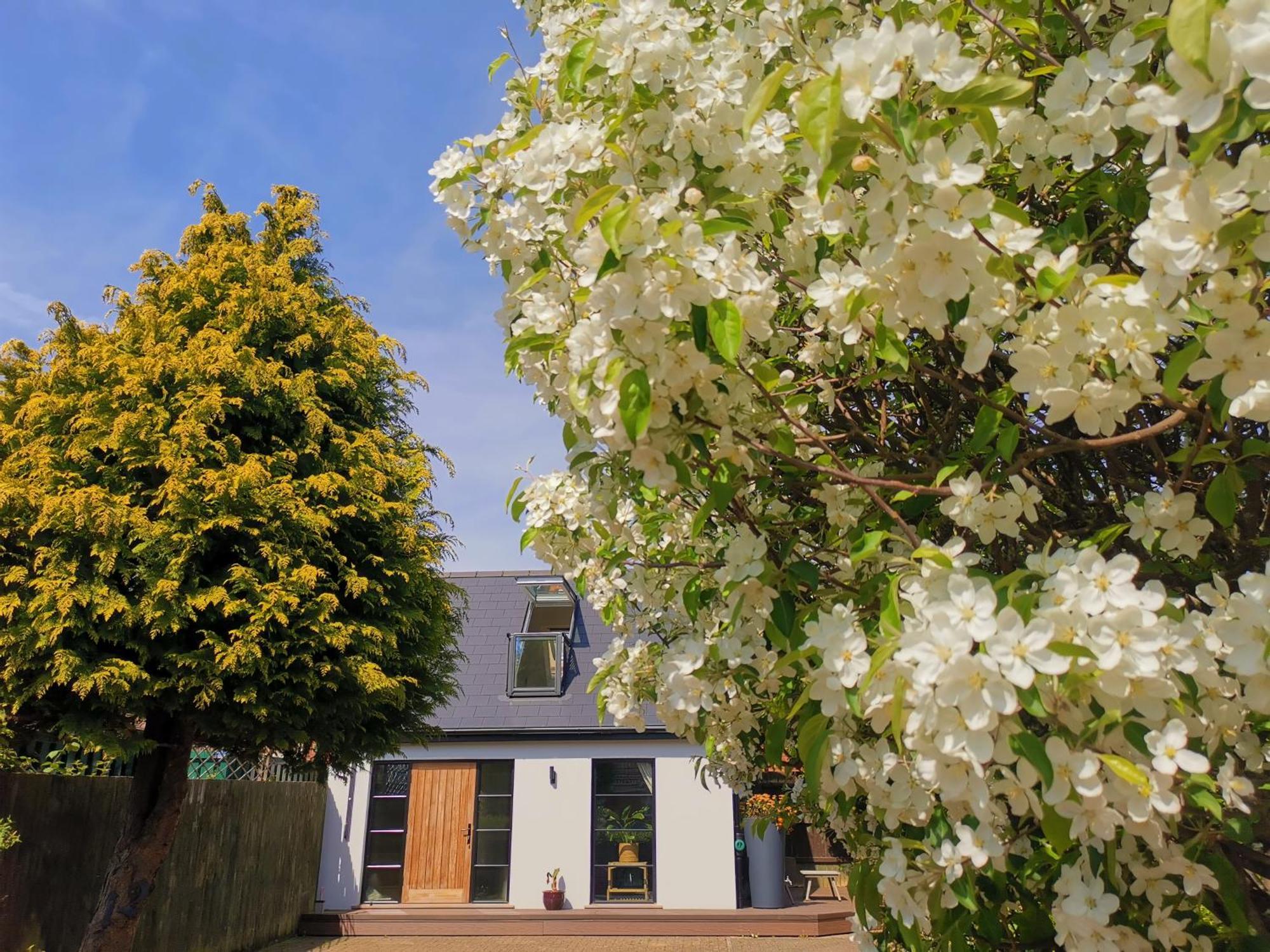 Hastings Casita, 'Little House' Self Contained Garden Lodge, Close To Town And Seafront Extérieur photo